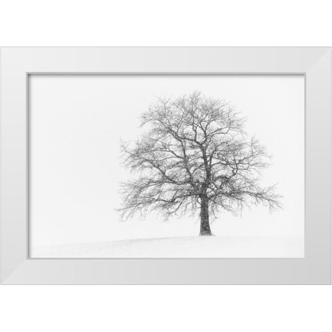 Wintersturm I White Modern Wood Framed Art Print by Steger, Uwe