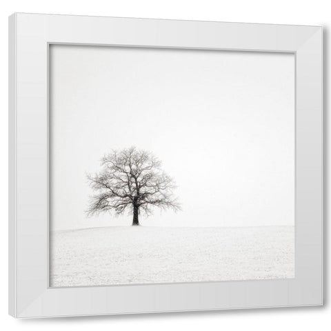 Wintersturm II White Modern Wood Framed Art Print by Steger, Uwe