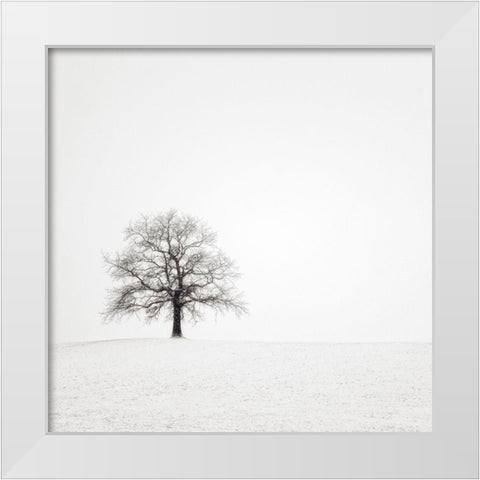 Wintersturm II White Modern Wood Framed Art Print by Steger, Uwe