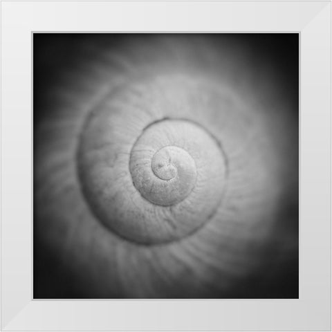 Mystic White Modern Wood Framed Art Print by Steger, Uwe