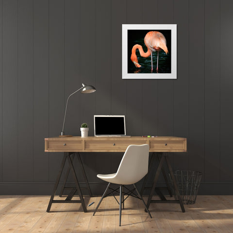Flamingo White Modern Wood Framed Art Print by Steger, Uwe