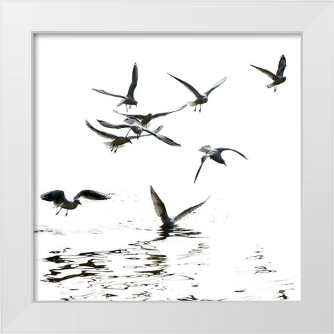 Black and White White Modern Wood Framed Art Print by Steger, Uwe