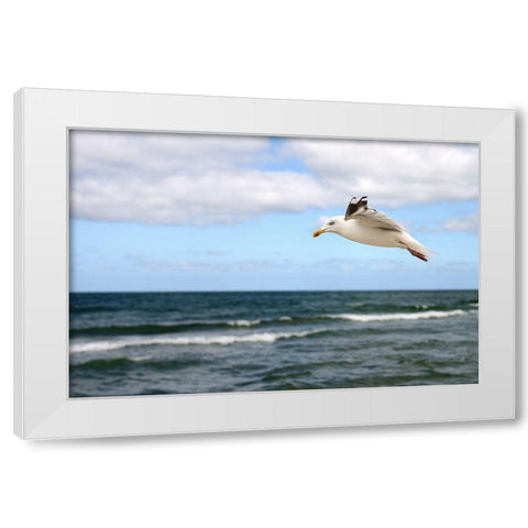 Lonely Bird White Modern Wood Framed Art Print by Steger, Uwe