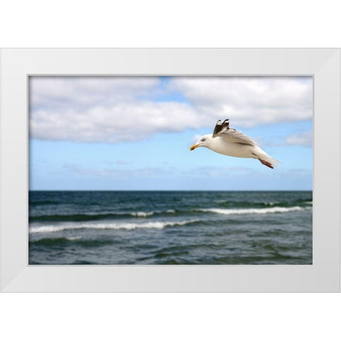 Lonely Bird White Modern Wood Framed Art Print by Steger, Uwe