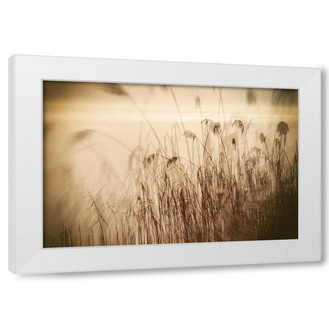 Traumzeit I White Modern Wood Framed Art Print by Steger, Uwe