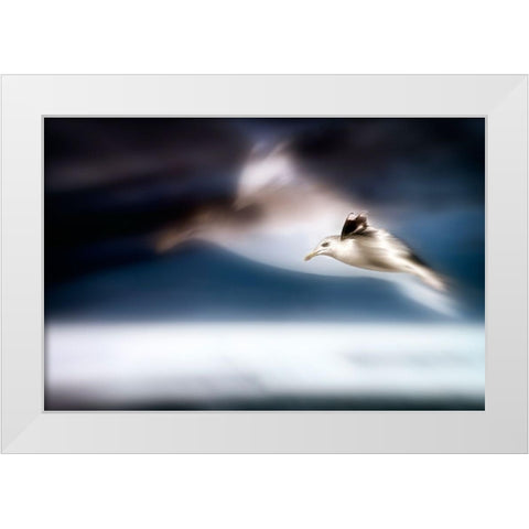 Dreamfly White Modern Wood Framed Art Print by Steger, Uwe