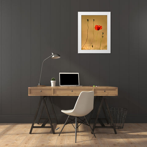 The Last Flowers White Modern Wood Framed Art Print by Steger, Uwe