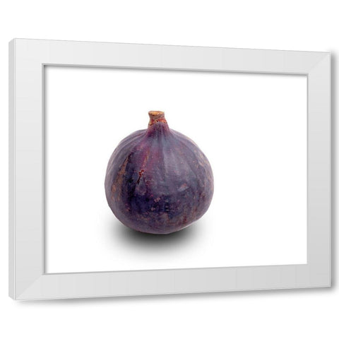 Feige White Modern Wood Framed Art Print by Brosius, Volker