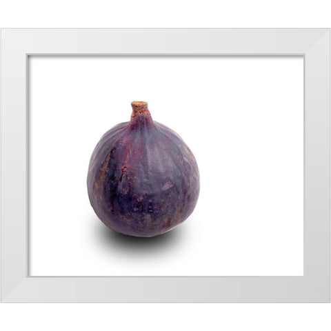 Feige White Modern Wood Framed Art Print by Brosius, Volker