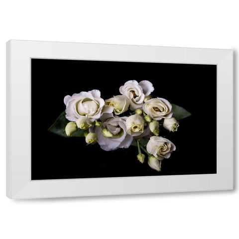 Rosen in weiss White Modern Wood Framed Art Print by Brosius, Volker