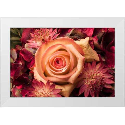Blumengesteck II White Modern Wood Framed Art Print by Brosius, Volker
