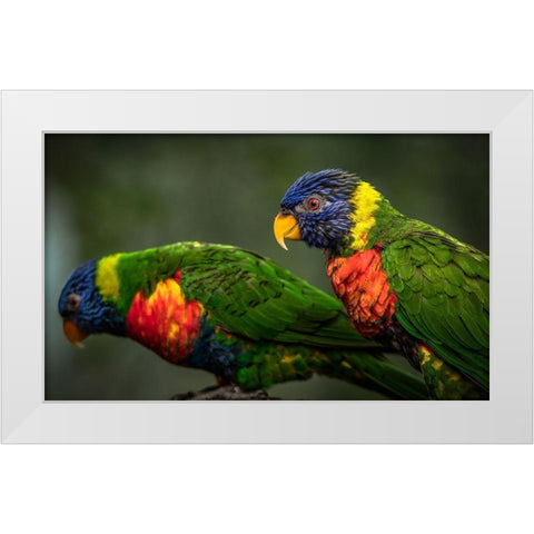 Green Birds White Modern Wood Framed Art Print by Ronin