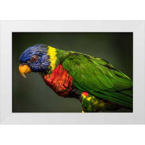 Green Bird White Modern Wood Framed Art Print by Ronin