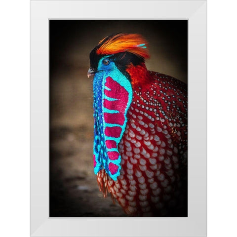 Tropical Bird White Modern Wood Framed Art Print by Ronin