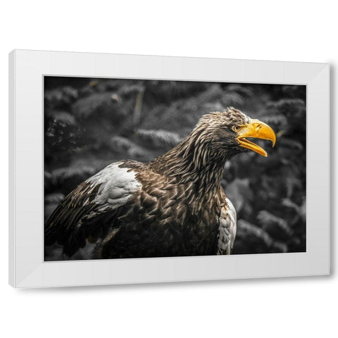 Stellar Eagle White Modern Wood Framed Art Print by Ronin