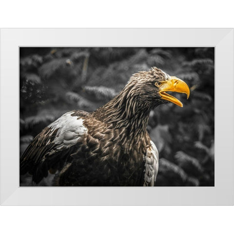 Stellar Eagle White Modern Wood Framed Art Print by Ronin