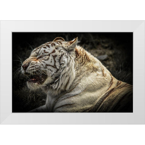 The Lygar White Modern Wood Framed Art Print by Ronin