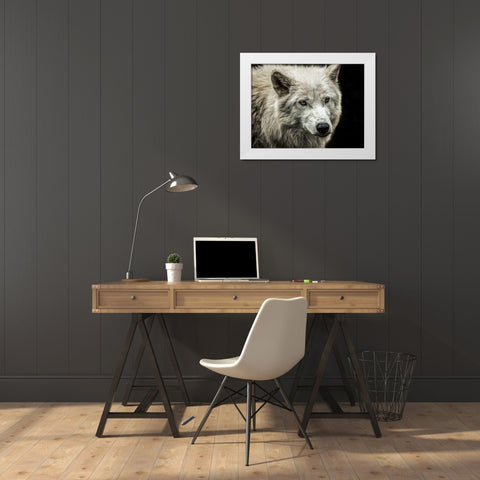 White Wolf White Modern Wood Framed Art Print by Ronin