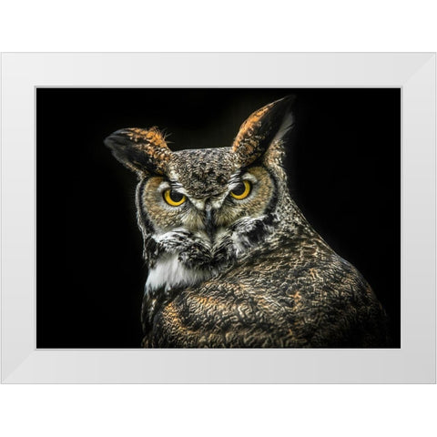 Wisdom Owl White Modern Wood Framed Art Print by Ronin