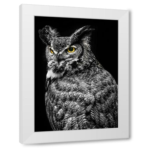 Wisdom Owl II White Modern Wood Framed Art Print by Ronin