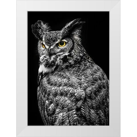 Wisdom Owl II White Modern Wood Framed Art Print by Ronin