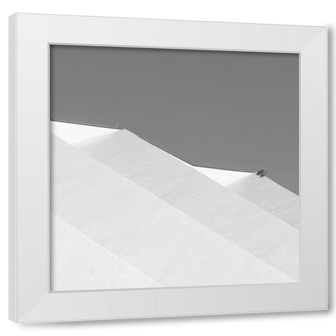 Three Doves White Modern Wood Framed Art Print by Stein, Oliver