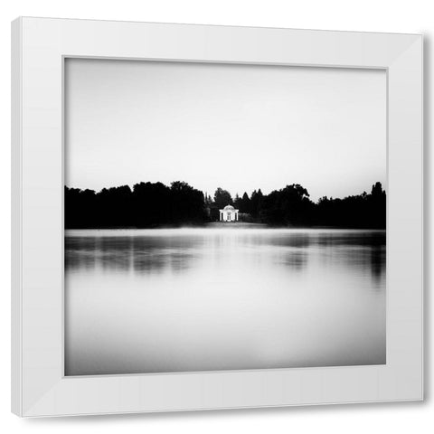 Swan Island White Modern Wood Framed Art Print by Stein, Oliver