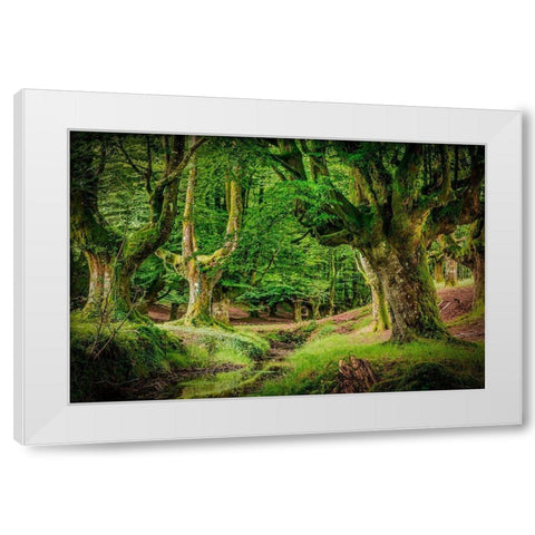 Otzarreta Forest II White Modern Wood Framed Art Print by Ronin