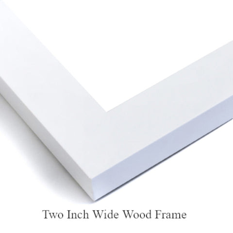 Winter Bloom White Modern Wood Framed Art Print by Haynes, Smith